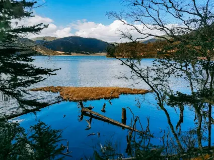 77spins Casino App Mobile